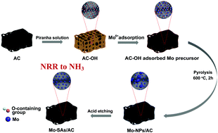 Graphical abstract: An oxygen-coordinated molybdenum single atom catalyst for efficient electrosynthesis of ammonia