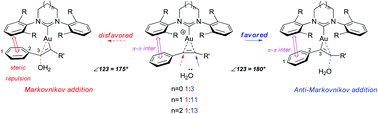 Graphical abstract: Ring size and nothing else matters: unusual regioselectivity of alkyne hydration by NHC gold(i) complexes