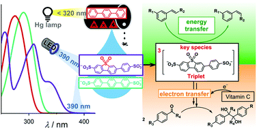Graphical abstract: Converting p-terphenyl into a novel organo-catalyst for LED-driven energy and electron transfer photoreactions in water