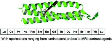 Graphical abstract: De novo designed coiled coils as scaffolds for lanthanides, including novel imaging agents with a twist