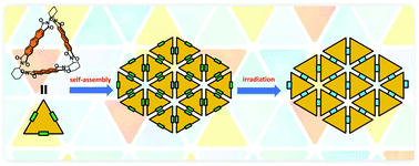 Graphical abstract: Tessellation strategy for the interfacial synthesis of an anthracene-based 2D polymer via [4+4]-photocycloaddition