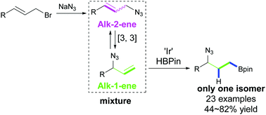 Graphical abstract: Selective hydroboration of equilibrating allylic azides