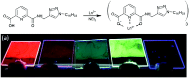 Graphical abstract: Ultra-thin films of amphiphilic lanthanide complexes: multi-colour emission from molecular monolayers