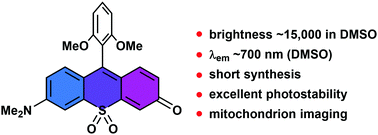 Graphical abstract: Red emissive sulfone-rhodols as mitochondrial imaging agents