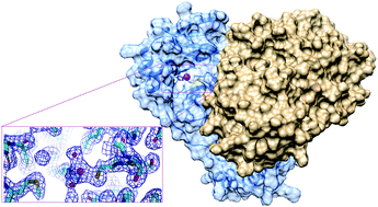 Graphical abstract: SARS-CoV-2 Mpro inhibition by a zinc ion: structural features and hints for drug design