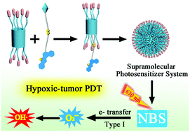 Graphical abstract: Pillar[5]arene-based supramolecular photosensitizer for enhanced hypoxic-tumor therapeutic effectiveness