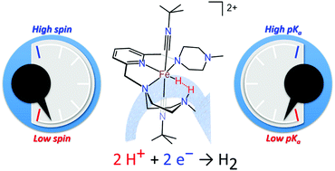 Graphical abstract: Electrochemical behaviors of a pincer-type NNN-Fe complex and catalytic H2 evolution activity