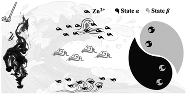 Graphical abstract: A Co-intercalation enhanced V-based cathode material for fast charge aqueous zinc ion batteries