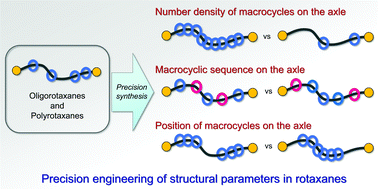 Graphical abstract: Precision synthesis of linear oligorotaxanes and polyrotaxanes achieving well-defined positions and numbers of cyclic components on the axle