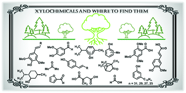 Graphical abstract: Xylochemicals and where to find them