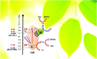 Graphical abstract: Photocatalytic oxidation of NO on reduction type semiconductor photocatalysts: effect of metallic Bi on CdS nanorods