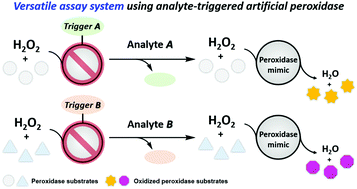 Graphical abstract: An analyte-triggered artificial peroxidase system based on dimanganese complex for a versatile enzyme assay