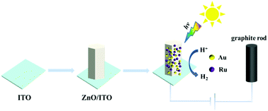 Graphical abstract: Photo-enhanced electrocatalytic hydrogen evolution reaction coupled semiconductor with plasma in neutral solution