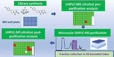 Graphical abstract: Microscale purification in support of high-throughput medicinal chemistry