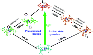 Graphical abstract: Excited-state structural dynamics of nickel complexes probed by optical and X-ray transient absorption spectroscopies: insights and implications