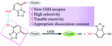 Graphical abstract: Thiolysis of CBD arylethers for development of highly GSH-selective fluorescent probes