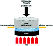 Graphical abstract: Thermal evolution of NASICON type solid-state electrolytes with lithium at high temperature via in situ scanning electron microscopy