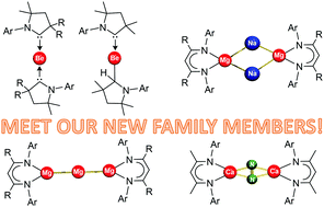 Graphical abstract: New horizons in low oxidation state group 2 metal chemistry