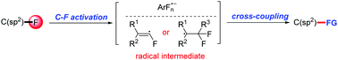 Graphical abstract: Recent advances in radical-based C–F bond activation of polyfluoroarenes and gem-difluoroalkenes