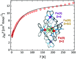 Graphical abstract: Self-assembly of a trigonal bipyramidal architecture with stabilisation of iron in three spin states