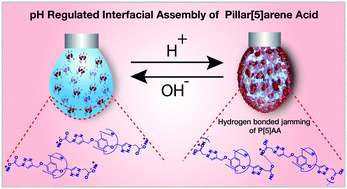 Graphical abstract: Modulation of liquid structure and controlling molecular diffusion using supramolecular constructs