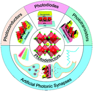 Graphical abstract: Perovskite photodetectors and their application in artificial photonic synapses