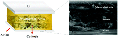 Graphical abstract: An integrated cathode and solid electrolyte via in situ polymerization with significantly reduced interface resistance