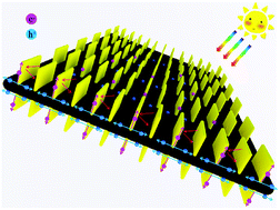 Graphical abstract: Vertical growth of SnS2 nanobelt arrays on CuSbS2 nanosheets for enhanced photocatalytic reduction of CO2