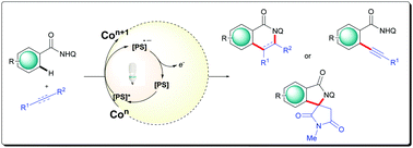Graphical abstract: C–H bond functionalization by dual catalysis: merging of high-valent cobalt and photoredox catalysis