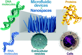 Graphical abstract: Oxide nanowire microfluidics addressing previously-unattainable analytical methods for biomolecules towards liquid biopsy