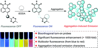 Graphical abstract: Bioorthogonally applicable multicolor fluorogenic naphthalimide–tetrazine probes with aggregation-induced emission characters