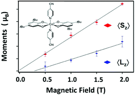 Graphical abstract: Evidence of dynamical effects and critical field in a cobalt spin crossover complex