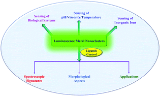 Graphical abstract: Effects of protecting groups on luminescent metal nanoclusters: spectroscopic signatures and applications