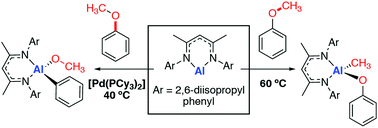 Graphical abstract: Alumination of aryl methyl ethers: switching between sp2 and sp3 C–O bond functionalisation with Pd-catalysis
