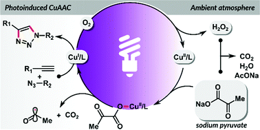 Graphical abstract: Biocompatible photoinduced CuAAC using sodium pyruvate