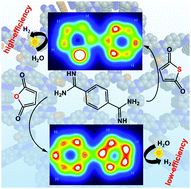 Graphical abstract: The O/S heteroatom effects of covalent triazine frameworks for photocatalytic hydrogen evolution