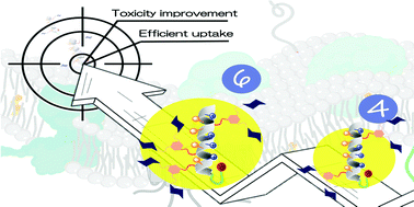 Graphical abstract: Glycan shields for penetrating peptides