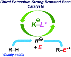 Graphical abstract: Development of chiral potassium strong Brønsted base catalysts for enantioselective carbon–carbon bond-forming reactions