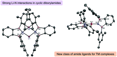 Graphical abstract: Unlocking metal coordination of diborylamides through ring constraints