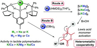 Graphical abstract: Salt additives as activity boosters: a simple strategy to access heterometallic cooperativity in lactide polymerisation