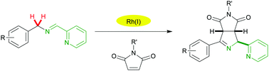 Graphical abstract: Rh(i)-catalysed imine-directed C–H functionalization via the oxidative [3 + 2] cycloaddition of benzylamine derivatives with maleimides