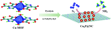 Graphical abstract: MOF-Derived Cu3P nanoparticles coated with N-doped carbon for nitrogen fixation