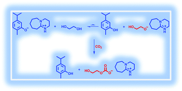Graphical abstract: Deep eutectic solvents composed of bio-phenol-derived superbase ionic liquids and ethylene glycol for CO2 capture