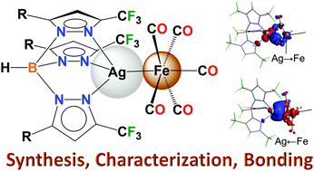 Graphical abstract: Iron pentacarbonyl ligands on silver scorpionates