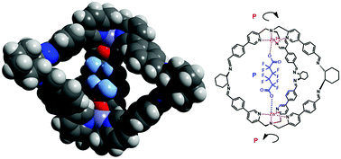 Graphical abstract: Helicity control of a perfluorinated carbon chain within a chiral supramolecular cage monitored by VCD