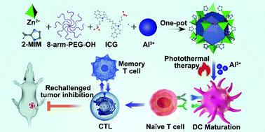 Graphical abstract: Bimetallic metal–organic frameworks for tumor inhibition via combined photothermal-immunotherapy