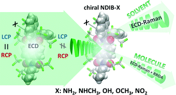 Graphical abstract: New chiral ECD-Raman spectroscopy of atropisomeric naphthalenediimides