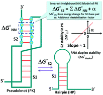 Graphical abstract: Applicability of the nearest-neighbour model for pseudoknot RNAs