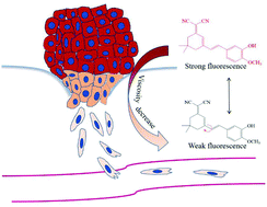 Graphical abstract: Assessment of cancer cell migration using a viscosity-sensitive fluorescent probe