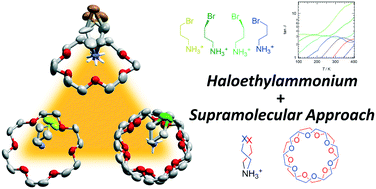 Graphical abstract: Molecular motion of halogenated ethylammonium/[18]crown-6 supramolecular ions in nickel dithiolate magnetic crystals